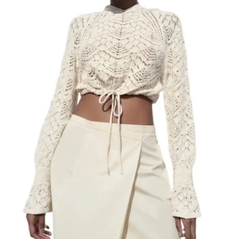 ZARA POINTELLE KNIT HOODIE